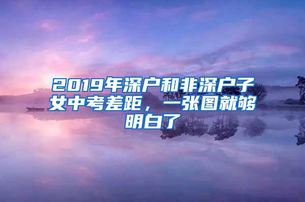 2019年深户和非深户子女中考差距，一张图就够明白了