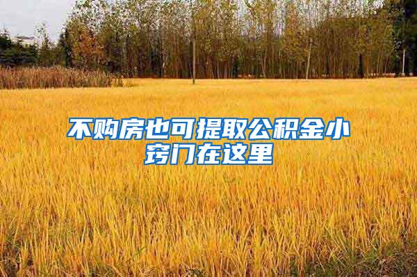 不购房也可提取公积金小窍门在这里