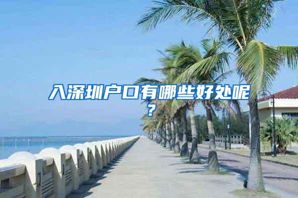 入深圳户口有哪些好处呢？