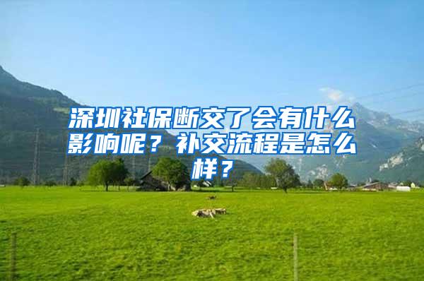 深圳社保断交了会有什么影响呢？补交流程是怎么样？