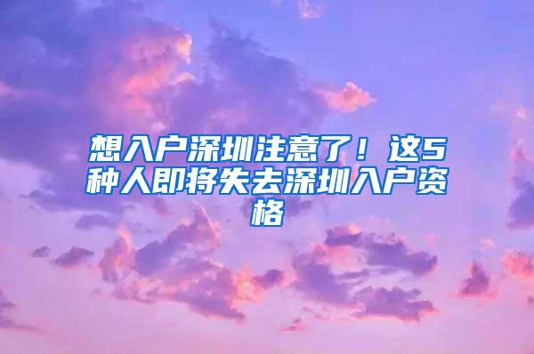 想入户深圳注意了！这5种人即将失去深圳入户资格