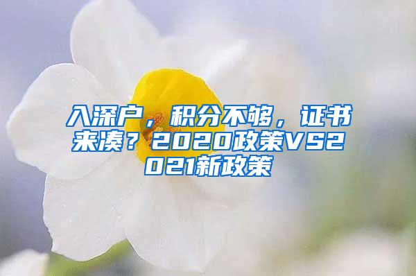入深户，积分不够，证书来凑？2020政策VS2021新政策