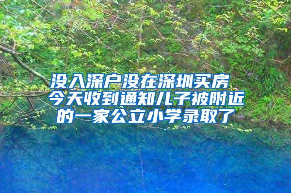 没入深户没在深圳买房 今天收到通知儿子被附近的一家公立小学录取了