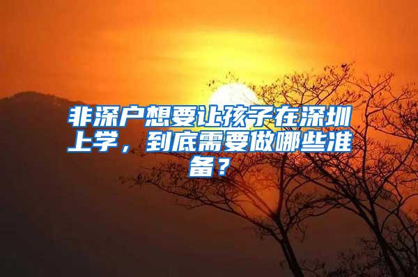 非深户想要让孩子在深圳上学，到底需要做哪些准备？