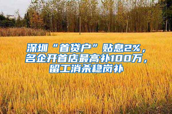 深圳“首贷户”贴息2%，名企开首店最高补100万，留工消杀稳岗补