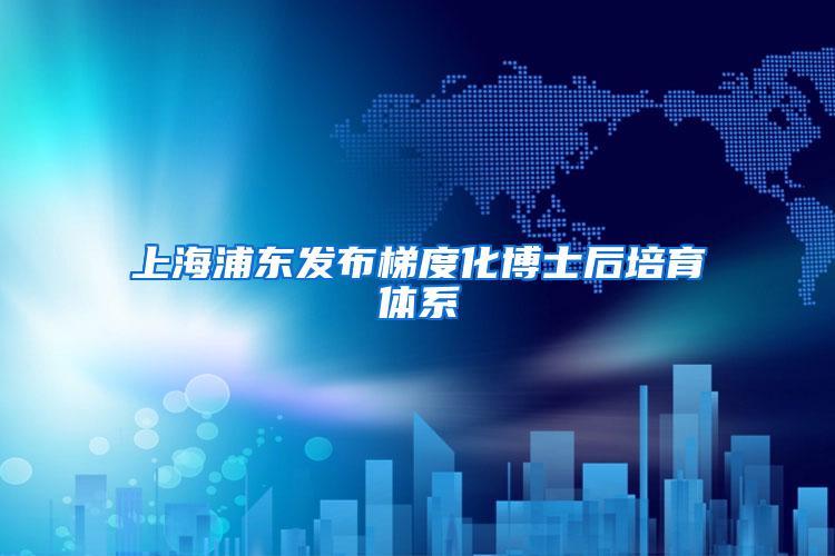 上海浦东发布梯度化博士后培育体系