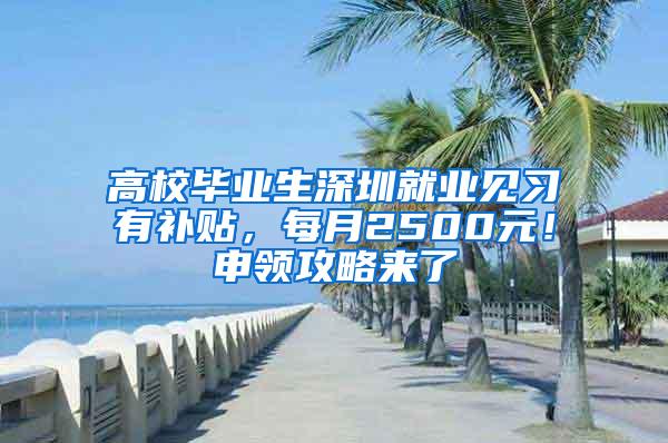 高校毕业生深圳就业见习有补贴，每月2500元！申领攻略来了