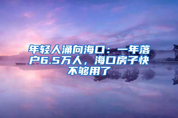 年轻人涌向海口：一年落户6.5万人，海口房子快不够用了