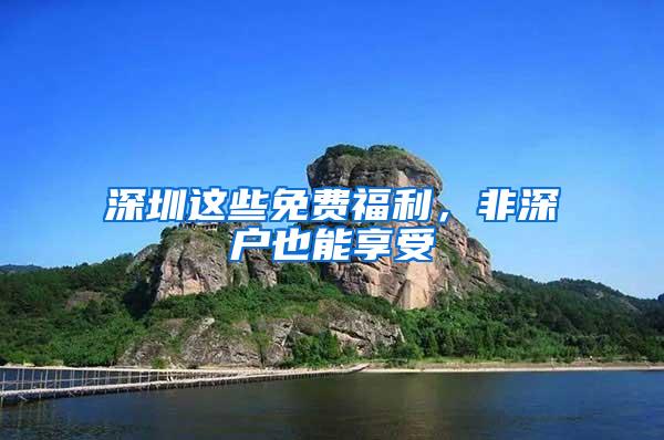 深圳这些免费福利，非深户也能享受