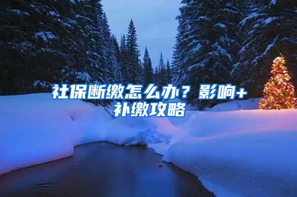 社保断缴怎么办？影响+补缴攻略