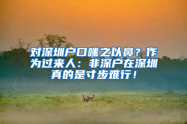 对深圳户口嗤之以鼻？作为过来人：非深户在深圳真的是寸步难行！