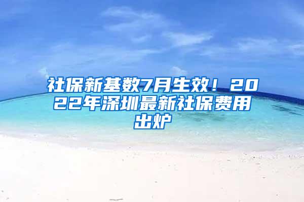社保新基数7月生效！2022年深圳最新社保费用出炉