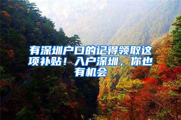 有深圳户口的记得领取这项补贴！入户深圳，你也有机会