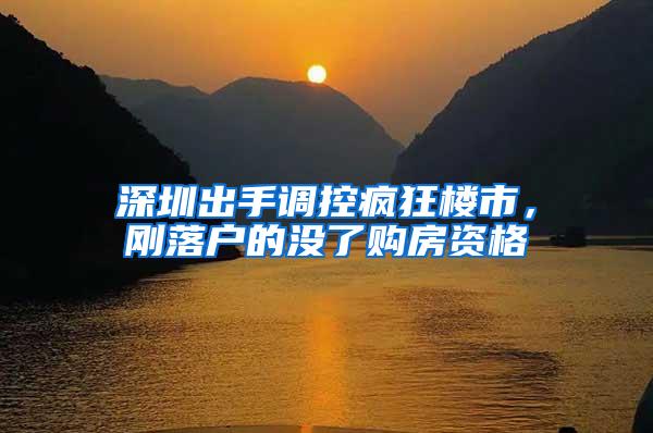 深圳出手调控疯狂楼市，刚落户的没了购房资格