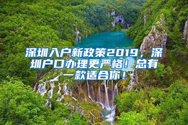 深圳入户新政策2019，深圳户口办理更严格！总有一款适合你！