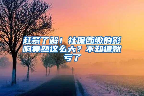 赶紧了解！社保断缴的影响竟然这么大？不知道就亏了