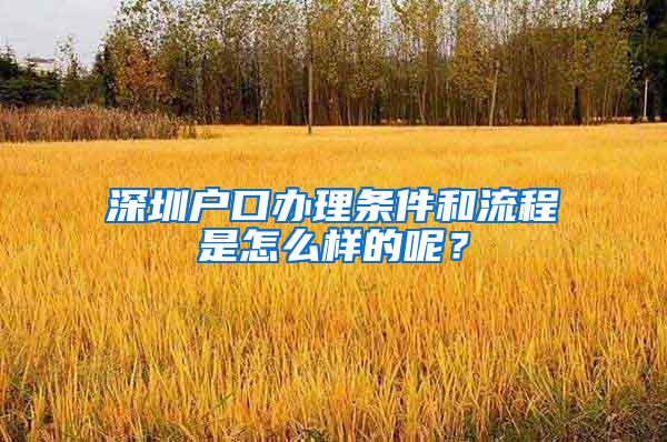 深圳户口办理条件和流程是怎么样的呢？