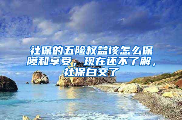 社保的五险权益该怎么保障和享受，现在还不了解，社保白交了