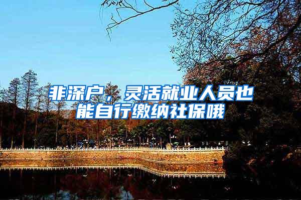 非深户，灵活就业人员也能自行缴纳社保哦