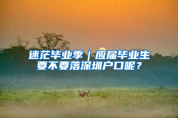 迷茫毕业季｜应届毕业生要不要落深圳户口呢？