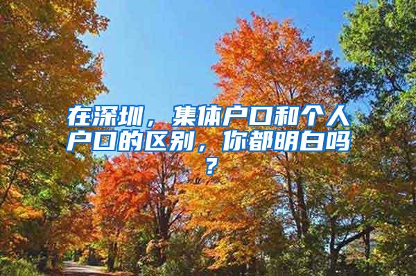 在深圳，集体户口和个人户口的区别，你都明白吗？