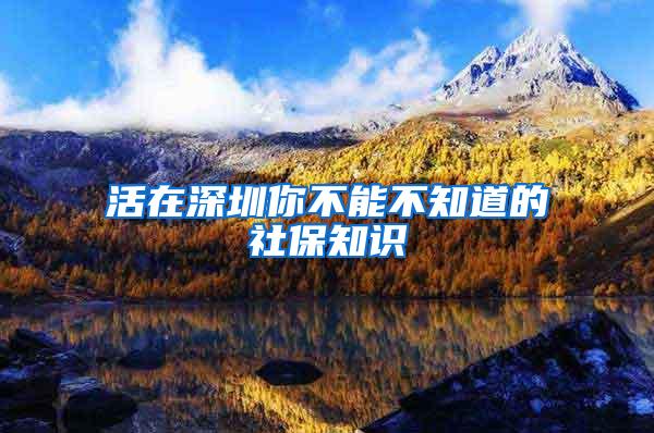 活在深圳你不能不知道的社保知识