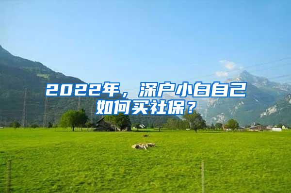 2022年，深户小白自己如何买社保？
