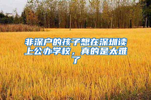 非深户的孩子想在深圳读上公办学校，真的是太难了