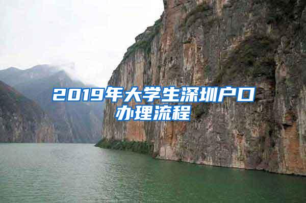 2019年大学生深圳户口办理流程