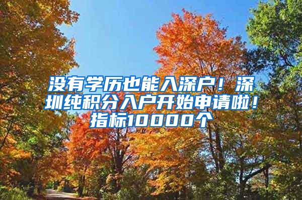 没有学历也能入深户！深圳纯积分入户开始申请啦！指标10000个