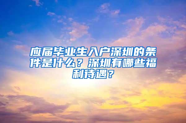应届毕业生入户深圳的条件是什么？深圳有哪些福利待遇？