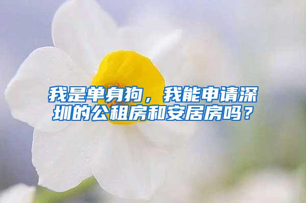 我是单身狗，我能申请深圳的公租房和安居房吗？