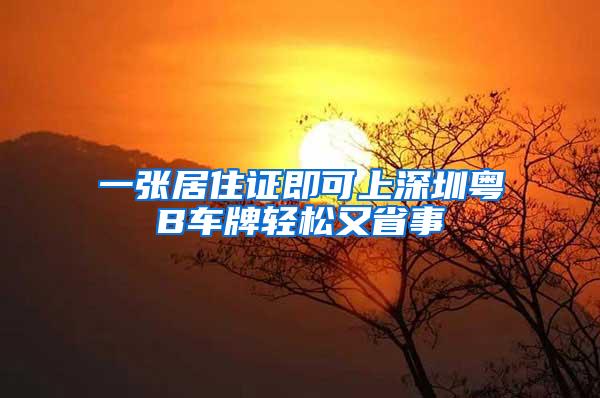 一张居住证即可上深圳粤B车牌轻松又省事