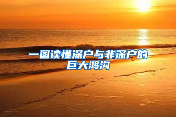 一图读懂深户与非深户的巨大鸿沟