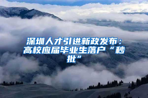 深圳人才引进新政发布：高校应届毕业生落户“秒批”