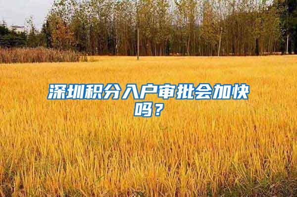 深圳积分入户审批会加快吗？