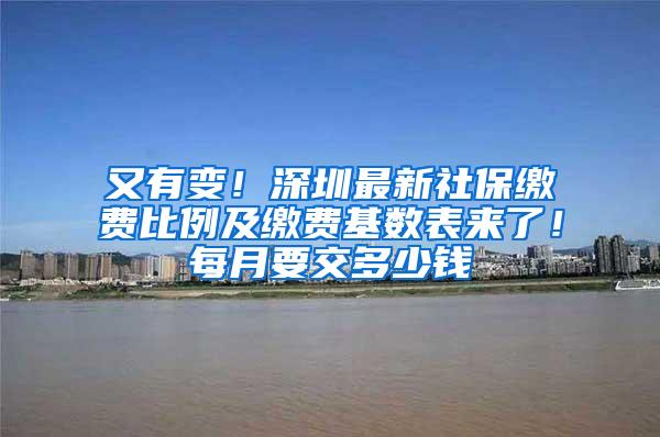 又有变！深圳最新社保缴费比例及缴费基数表来了！每月要交多少钱