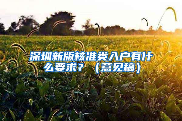 深圳新版核准类入户有什么要求？（意见稿）
