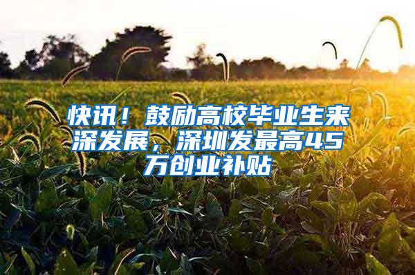 快讯！鼓励高校毕业生来深发展，深圳发最高45万创业补贴