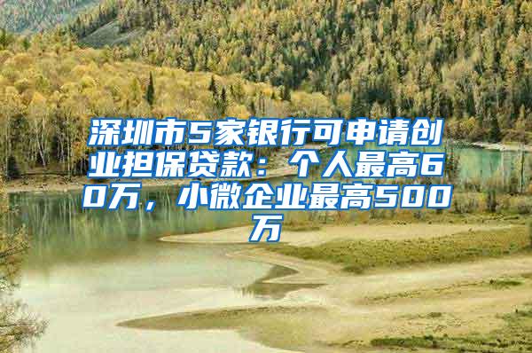 深圳市5家银行可申请创业担保贷款：个人最高60万，小微企业最高500万
