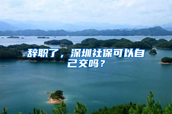 辞职了，深圳社保可以自己交吗？