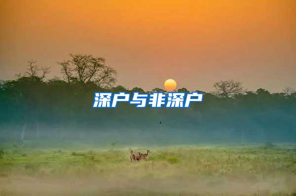 深户与非深户