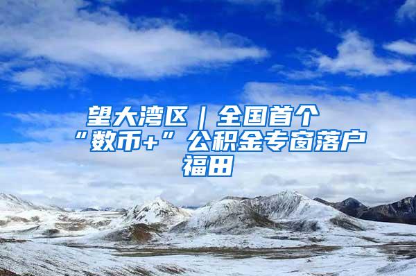 瞭望大湾区｜全国首个“数币+”公积金专窗落户福田