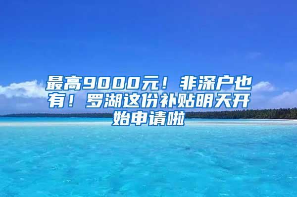 最高9000元！非深户也有！罗湖这份补贴明天开始申请啦
