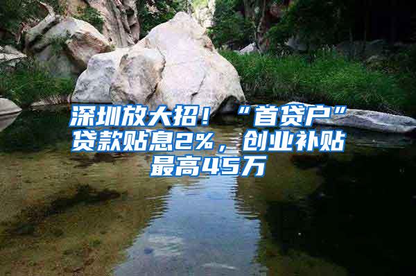 深圳放大招！“首贷户”贷款贴息2%，创业补贴最高45万