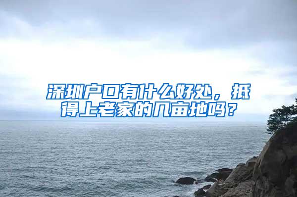 深圳户口有什么好处，抵得上老家的几亩地吗？