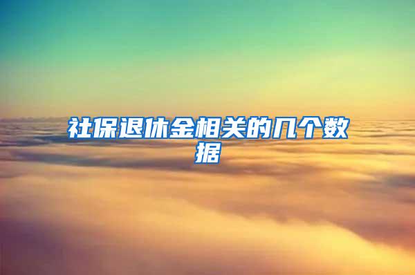 社保退休金相关的几个数据