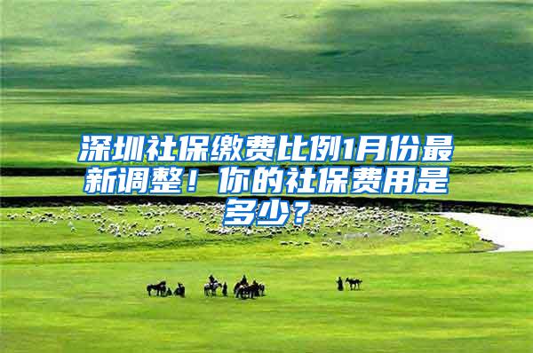 深圳社保缴费比例1月份最新调整！你的社保费用是多少？