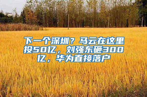 下一个深圳？马云在这里投50亿，刘强东砸300亿，华为直接落户
