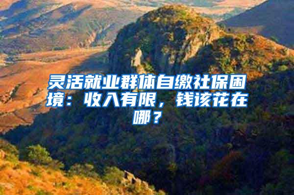 灵活就业群体自缴社保困境：收入有限，钱该花在哪？